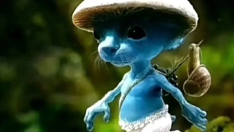 The Tale of Smurfcat: From Internet Obscurity to Viral Sensation