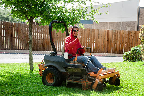 Unveiling the Mystery of the Mexican Lawnmower: A Comprehensive Guide