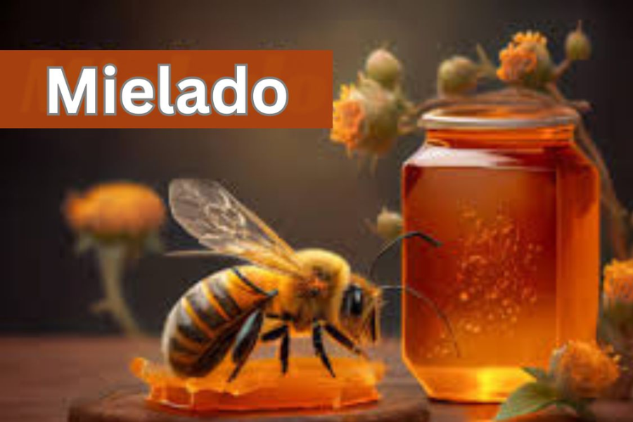 Honey to Mielado: Exploring the Rich History and Cultural Significance