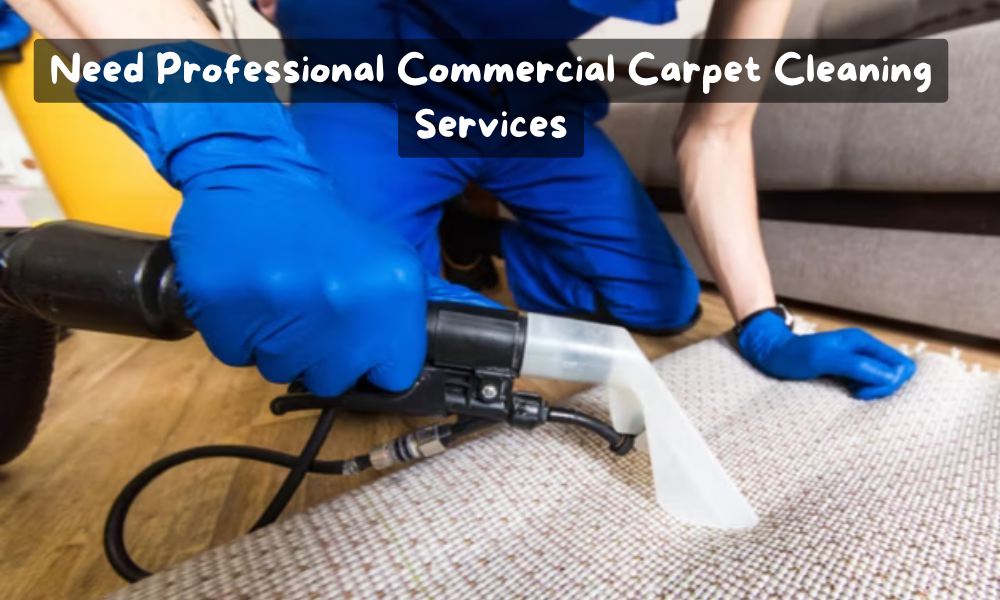 10 Reasons Why You Need Professional Commercial Carpet Cleaning Services
